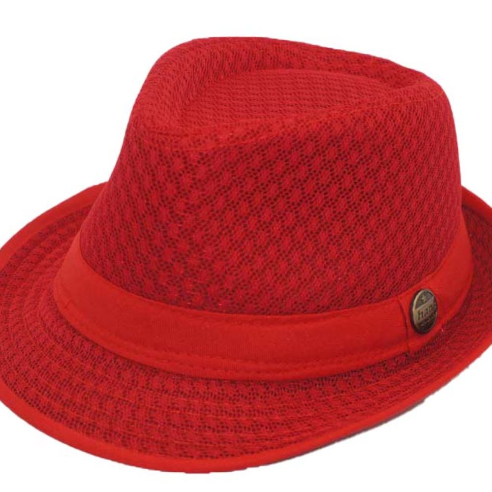 Mesh Fedora - Picture 4 of 16
